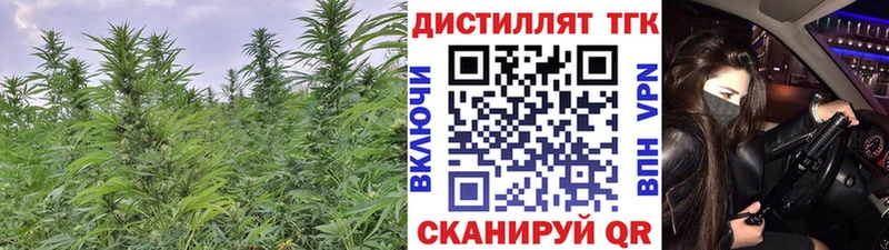 ссылка на мегу как войти Ершов ТГК Wax