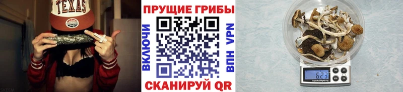 Псилоцибиновые грибы мухоморы  omg ссылка  Ершов 